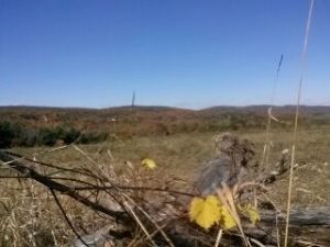 Looking west, from the top of Cider Hill, in October.
