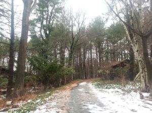 20140106_133124_resized_1