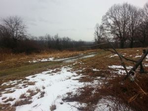 Standing at top of Cider Hill, in the apple orchard, looking east across the CT River Basin