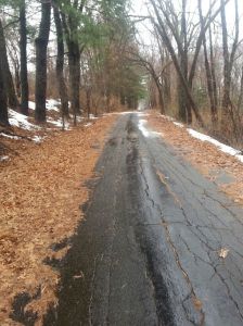 On the drive up toward the compound. Apple orchard is up and on the left side.