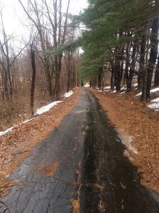 The road back down Cider Hill, about 1/10 mile.