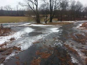 Looking away from Cider Hill, across the northern sector of the Auerfarm Education Center